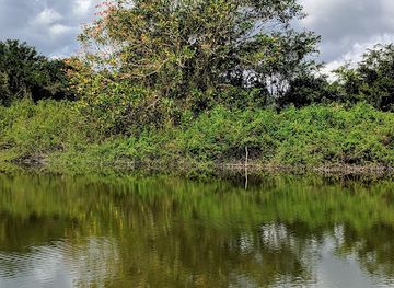 belize/cockscomb-basin-wildlife-sanctuary/landmark/crooked-tree-wildlife-sanctuary