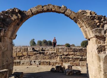 cyprus/paphos/landmark/achilles-mosaic