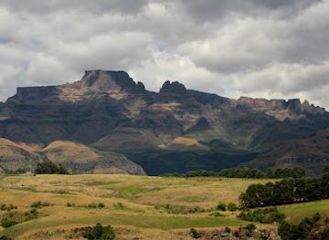 south-africa/drakensberg-mountains/landmark/umphafa-berg-tours