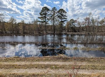 north-carolina/sandhills/landmark/suggs-mill-pond-game-land