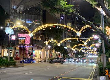 singapore/orchard-road/landmark/penang-road-open-space
