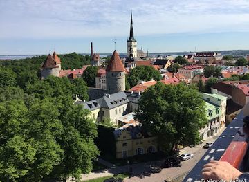 estonia/laane-viru-county/landmark/tallinn-town-hall