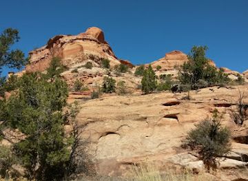 utah/escalante/landmark/phipps-arch