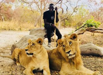 the-gambia/foni-brefet/landmark/banjul-guided-tours