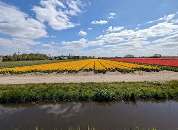 netherlands/bollenstreek/landmark/museum-black-tulip
