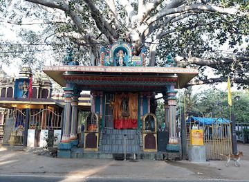 sri-lanka/trincomalee-district/landmark/save-the-children-usda-palm-a-field-office-sarvodaya-trincomalee-district-center