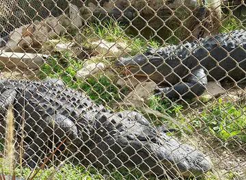 Negev Zoo