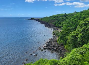 mauritius/flic-en-flac-beach/landmark/bassin-vert