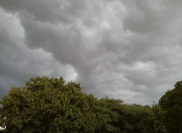 namibia/tsumeb/landmark/muteka-s-park