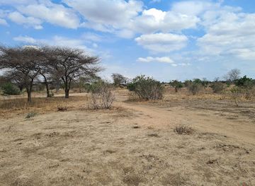 malawi/liwonde-national-park/landmark/shire-eco-safari-camp