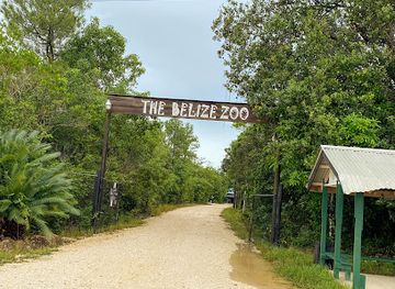 belize/sarteneja/landmark/the-belize-zoo-and-tropical-education-center