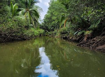 costa-rica/south-pacific/landmark/mangrove-boat-tour