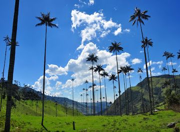 colombia/cocora-valley/landmark/paramo-trek