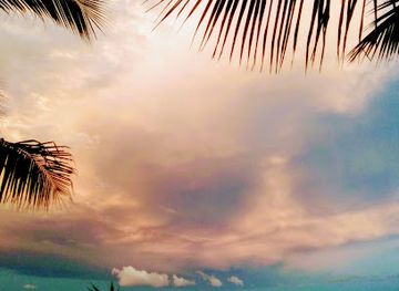 fiji/levuka/landmark/center-of-fiji