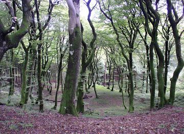 denmark/rebild-national-park/attraction/troldeskoven