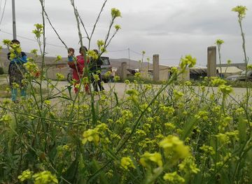 jordan/eastern-highlands/landmark/tell-en-neqra