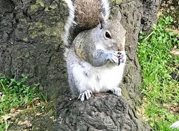 united-kingdom/windsor/attraction/tavistock-square-2