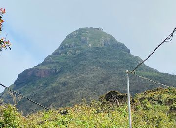 sri-lanka/adam-s-peak/landmark/adiya-mala-thenna