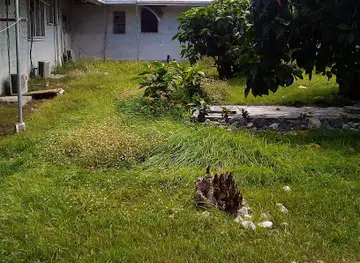 London Kiritimati Hospital