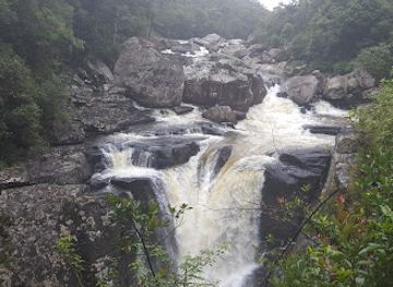 madagascar/tsingy-de-bemaraha-national-park/landmark/reserve-speciale-d-analamazoatra