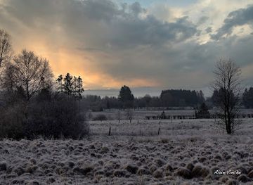 belgium/hautes-fagnes/landmark/promenade-de-la-fagne-de-sourbrodt