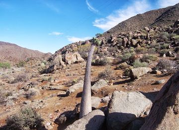 south-africa/battlefields/landmark/richtersveld
