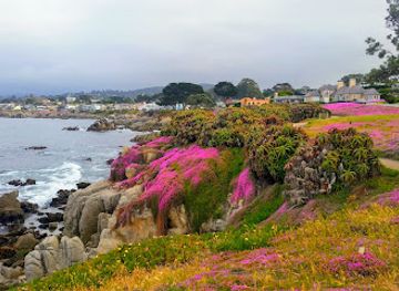 california/carmel-by-the-sea/landmark/john-denver-memorial
