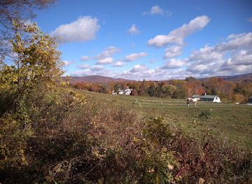 vermont/windham-county/landmark/the-mile-around-woods