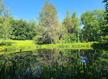 connecticut/litchfield-hills/landmark/topsmead-state-forest