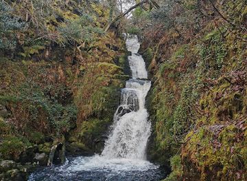 ireland/killarney-national-park/landmark/o-sullivans-cascade
