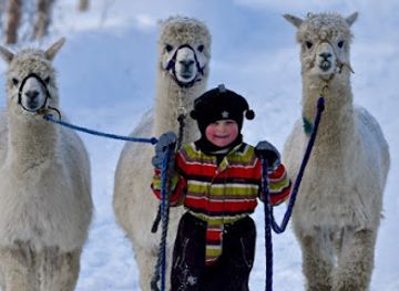 finland/levi/landmark/aava-kertun-kotitila
