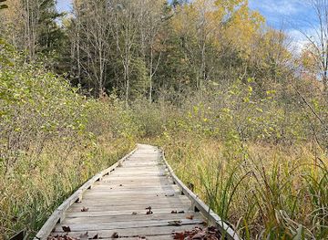 wisconsin/ice-age-trail/landmark/ice-age-trail-lake-eleven-segment