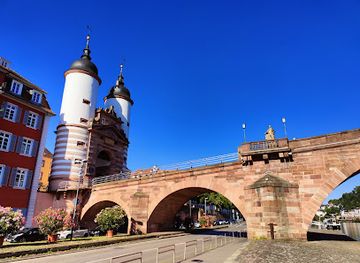 germany/heidelberg/landmark/bruckenaffe