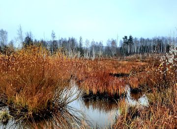 latvia/teici-nature-reserve/landmark/former-ergli-railway-station