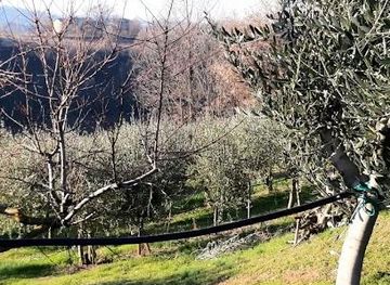 italy/bologna/landmark/castelvetro-di-modena