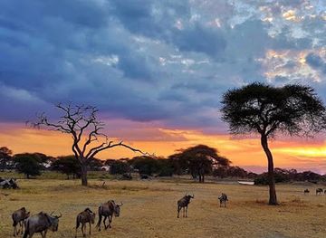 tanzania/arusha/landmark/visit-tanzania