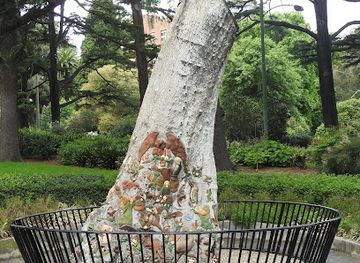 australia/melbourne/fitzroy/landmark/the-fairies-tree