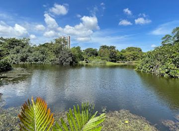 singapore/bukit-timah/landmark/jacob-ballas-children-s-garden