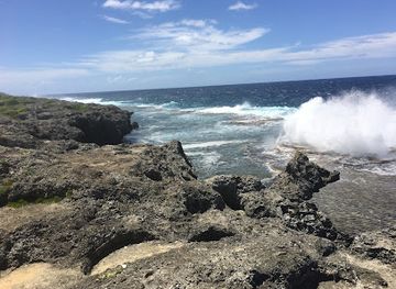 tonga/ha-apai-islands/landmark/mapu-a-vaea-blowholes