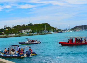 new-caledonia/south-province/landmark/dal-ocean-charter