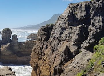 new-zealand/west-coast/landmark/west-coast-tree-top-zipline-south-island