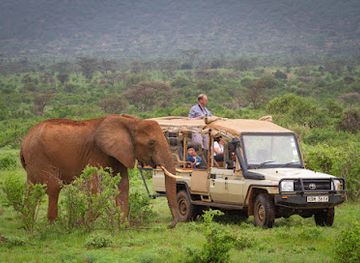 kenya/samburu-region/landmark/samburu-trails-samburu-national-reserve