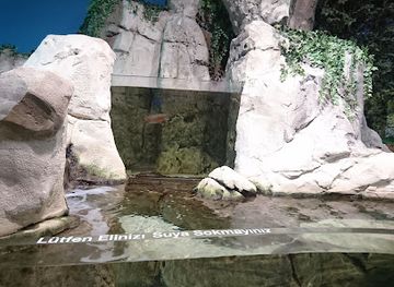 turkiye/marmara-region/landmark/istanbul-aquarium