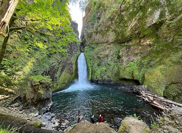 oregon/cascade-range/landmark/wahclella-falls