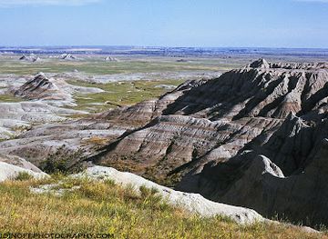 Homestead Overlook
