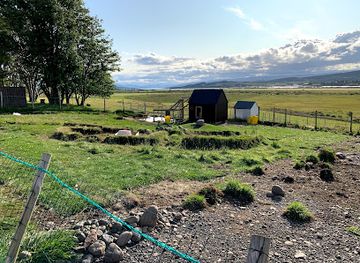 iceland/egilsstadir/landmark/finnsstaoir-horse-rental