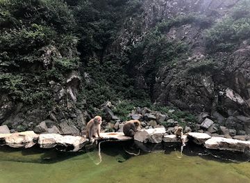 japan/shinano/landmark/snow-monkey-park-jigokudani-yaen-koen