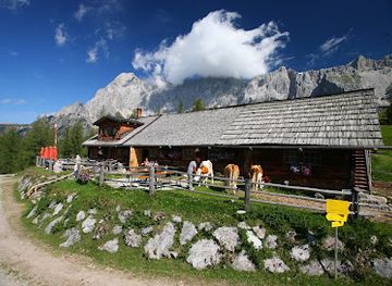 austria/schladming-dachstein/landmark/walcheralm