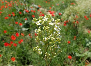 kazakhstan/zhezkazgan/landmark/the-boundary-of-lands-belonging-to-the-village-of-zhigergen