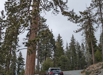 california/sequoia-national-park/landmark/sequoia-kings-canyon-national-parks